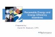 Renewable Energy and Energy Efficiency Incentives