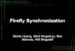 Firefly Synchronization - NLD lab