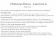 Photosynthesis - Exercise 6