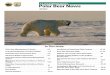 FWS Polar Bear News - U.S. Fish and Wildlife Service