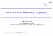What is a Multi-Modelling Language? - LIPN