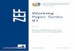 Working Paper Series 81 - ZEF