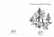Island Woodland Plants - Government of Prince Edward Island