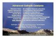 Advanced Cathode Catalysts - Energy