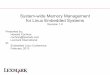 System-wide Memory Management for Linux Embedded Systems