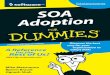 SOA Adoption for Dum