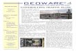 CONTROLLING TRAFFIC FLOW - Geoware Inc