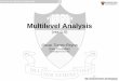 Multilevel Analysis - Princeton University