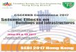 Seismic Effects on Buildings and Infrastructures