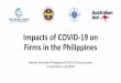 Impacts of COVID-19 on Firms in the Philippines