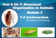 Unit II Ch 7: Structural Organisation in Animals Module 3 