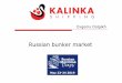 Evgeniy Dolgikh - kalinka-shipping.com