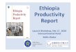 Ethiopia Productivity Report - GRIPS