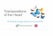 Transpositions of the Heart - Nationwide Children's Hospital