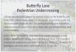 Butterfly Lane Pedestrian Undercrossing project information