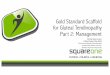 Gold Standard Scaffold for Gluteal Tendinopathy Part 2 
