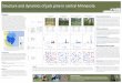 Structure and dynamics of jack pine in central Minnesota