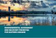 ENVIRONMENTAL ASSESSMENT AND RECOVERY PRIORITIES …