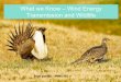 What we Know – Wind Energy Transmission and Wildlife