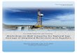 Workshop on Well Integrity for Natural Gas Storage in 