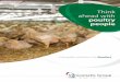 Complete solutions for Broilers