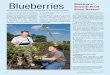 Superb Fruit Even Better! - Agricultural Research Service - US