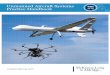 Unmanned Aircraft Systems Practice Handbook