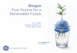 Fuel Source for a Renewable Future - 123seminarsonly.com