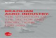 BRAZILIAN AGRO-INDUSTRY: THE SITUATION OF THE SECTOR …