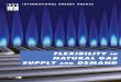 FLEXIBILITY IN NATURAL GAS AND DEMAND