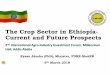 1. The Crop Sector in Ethiopia-Current and Future 
