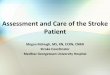 Assessment and Care of the Stroke Patient