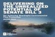 DELIVERING ON THE UNREALIZED POTENTIAL OF SENATE BILL 3