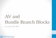 AV and Bundle Branch Blocks