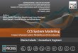 CCS System Modelling