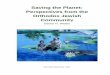 Saving the Planet: Perspectives from the Orthodox Jewish 