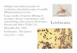 Leishmania - | Department of Zoology at UBC