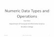 Numeric Data Types and Operations