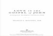 LOVE IN THE GOSPEL of JOHN