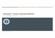 MPPL-10-20-Project Risk Management