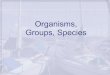 Organisms, Groups, Species
