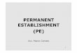 PERMANENT ESTABLISHMENT (PE) - My LIUC