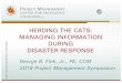 HERDING THE CATS: MANAGING INFORMATION DURING …