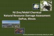 NJ Zinc/Mobil Chemical Natural Resource Damage Assessment 