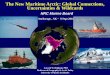 The New Maritime Arctic: Global Connections, Uncertainties 