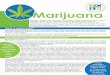 Marijuana Flyer SCandDFinal - browardschools.com