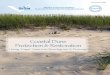 Protection & Restoration Coastal Dune - Woods Hole