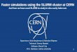 Faster simulations using the SLURM cluster at CERN