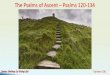 The Psalms of Ascent Psalms 120-134