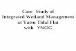Case Study of Integrated Wetland Management at Yatsu Tidal 